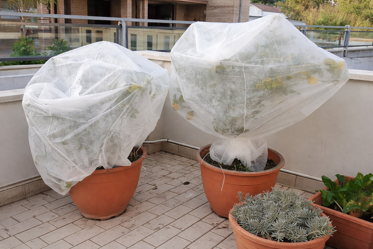 Piante in vaso su balcone coperte con tessuto non tessuto per protezione dal freddo.