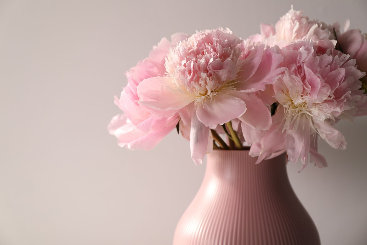 Peonie rosa recise in vaso minimalista su sfondo neutro.
